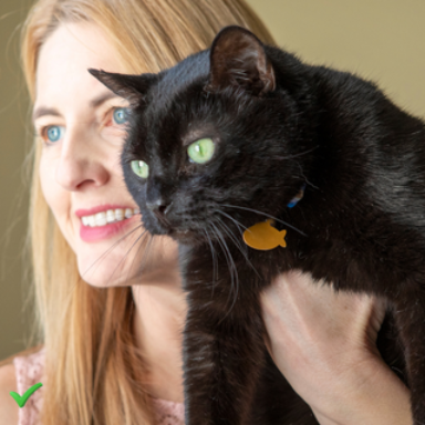 Profile photo of vedahanim